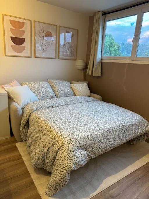 Apartment Cosy Au Coeur Du Haut-jura